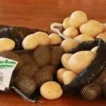 172238051_3978175622276421_5934423948427402755_n