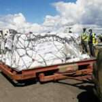 172542225_3978749032219080_1970425675578815364_n