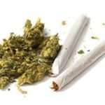 173047105_1004209990116554_7610078112530179300_n