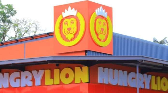 Chipata-Hungry-Lion-Camera-Man-Hungry-Lion