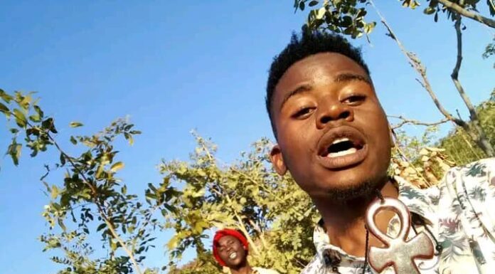 Snaff-Ari-ft-Steppa-Strugle-prod-by-M-Jayzee