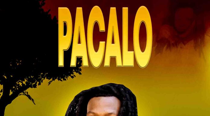 Slim G ft Shake Bally-Pacalo