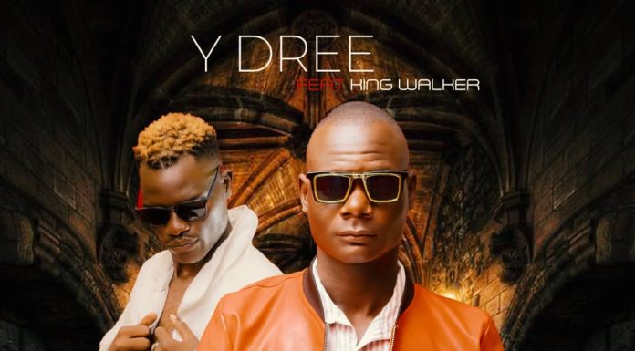 Y Dree ft King Walker -Mtima