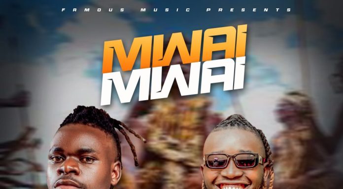 Poulp Cool ft Senymax-Mwai Mwai