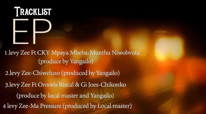 Levy Zee-EP