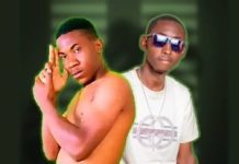 BrownDillz Ft Zed Dreamer-Night To Night