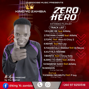 ZERO TO HERO ART2
