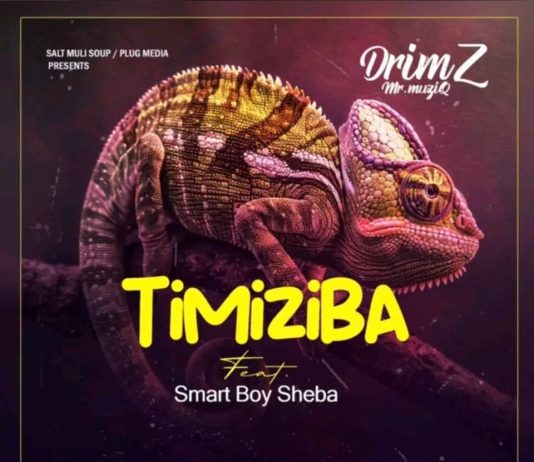 Drimz Ft Smart Boy Sheba ( Timiziba )