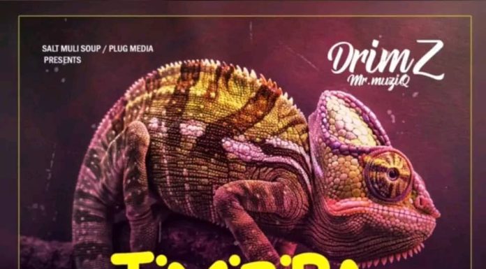 Drimz Ft Smart Boy Sheba ( Timiziba )