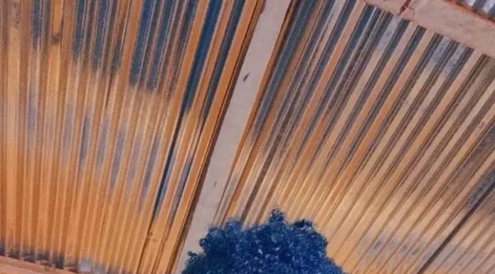 Leo Dollar-ft Kay Nash MLS & Connex-Uchenjele Naye