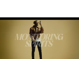 Neo -Monitoring Spirits (Visualizer)