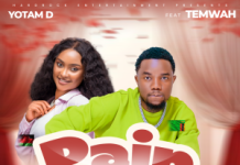Yotam D ft. Temwah – Pain killer