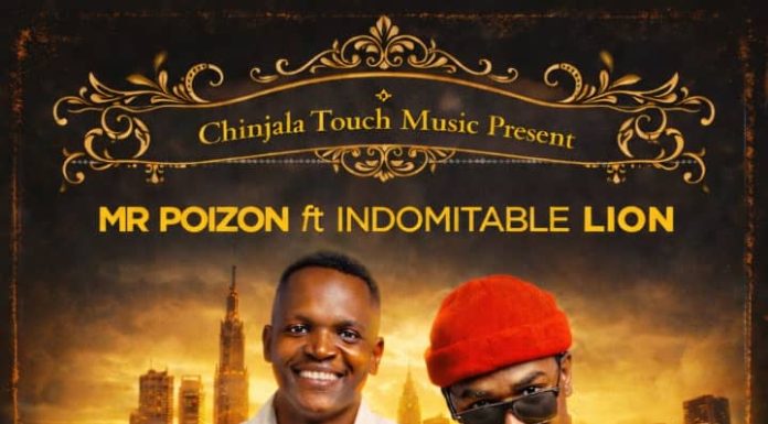 Mr Poizon Ft Indomiteble lion-Aliko(prod by connex)