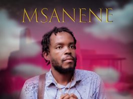 Msanene-Life Mu Town