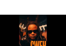 T-Sean – Gweh (WYFL Riddim) | Zambian Dancehall 2026