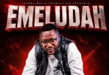 Diploma Zambia-Emeludah