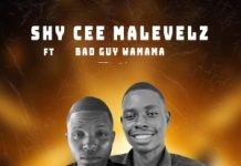 Shy Cee ft Bad Guy-Wamama-Patelera