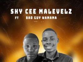 Shy Cee ft Bad Guy-Wamama-Patelera