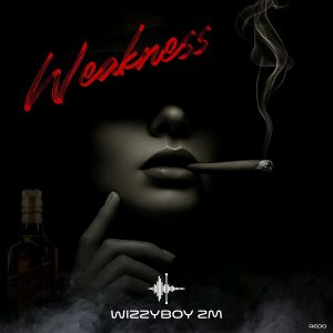 Wizzy Boy Zm-Wickness Redo..TSP