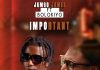 Jamgo James ft Bolokiyo-Important(Prod.Trillz)