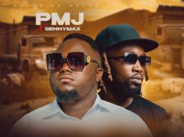 PMJ ft. Senymax-Mukwasu